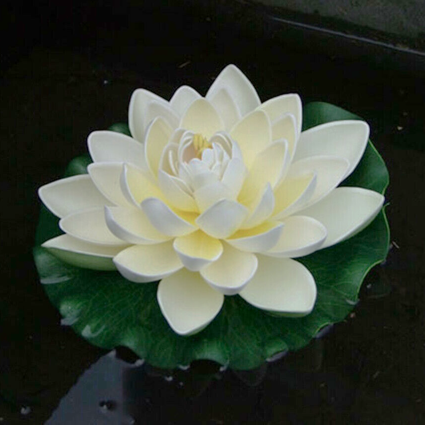 Lotus of the Heart